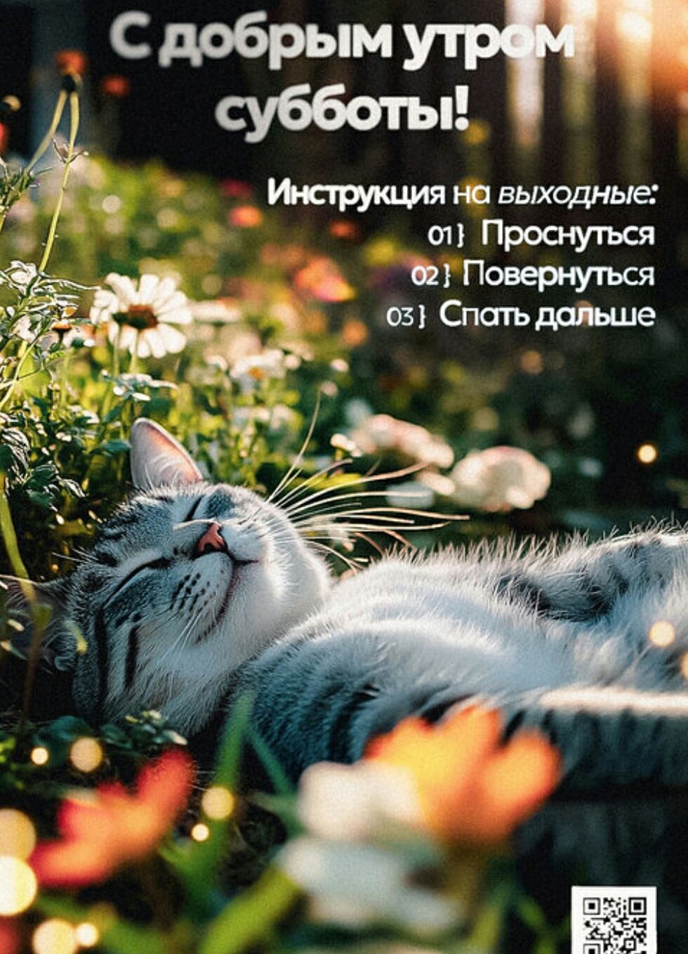 С добрым утром субботы! Инструкция на выходные: 01 Проснуться 02 Повернуться 03 Спать дальше