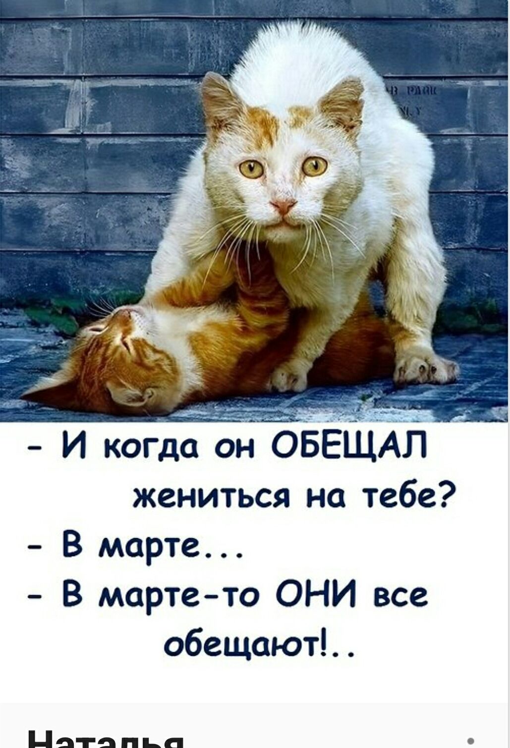 – И когда он ОБЕЩАЛ жениться на тебе? – В марте... – В марте-то ОНИ все обещают!.. Наталья