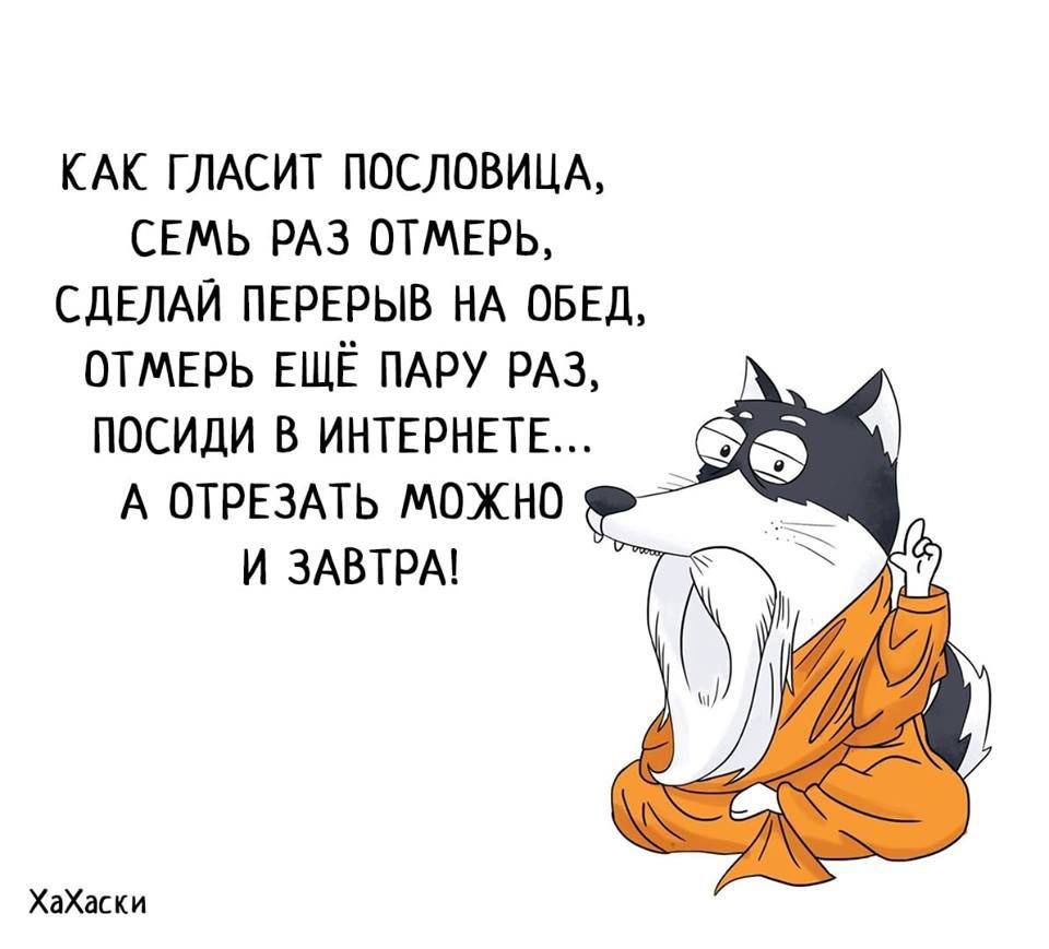 КАК ГЛАСИТ ПОСЛОВИЦА СЕМЬ РАЗ ОТМЕРЬ СДЕЛАЙ ПЕРЕРЫВ НА ОБЕД ОТМЕРЬ ЕЩЁ ПАРУ РАЗ ПОСИДИ В ИНТЕРНЕТЕ А ОТРЕЗАТЬ МОЖНО И ЗАВТРА Хахаски