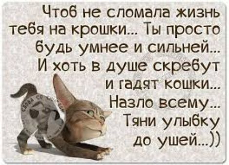 Чтоб не сломала жизнь тебя на крошки Ты просто будь умнее и сильней И хоть в душе скребут и гадят кошки Назло всему Тяни улыбку до ушей