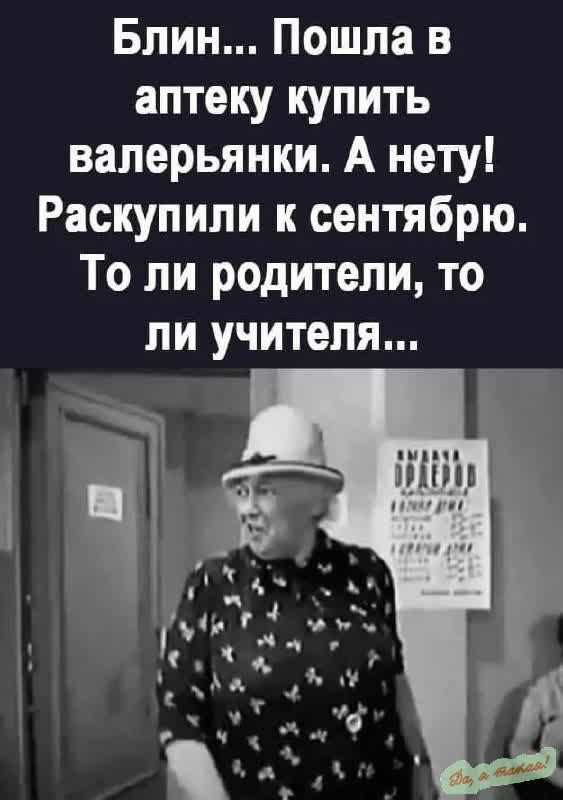 Блин Пошла в аптеку купить валерьянки А нету Раскупили к сентябрю То ли родители то ли учителя