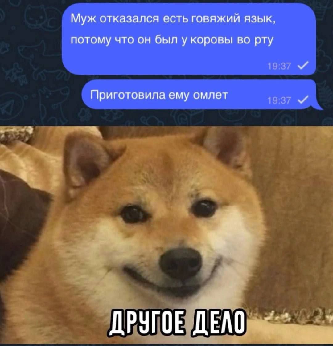 у ДЕУГОЕРД ЕЛО о