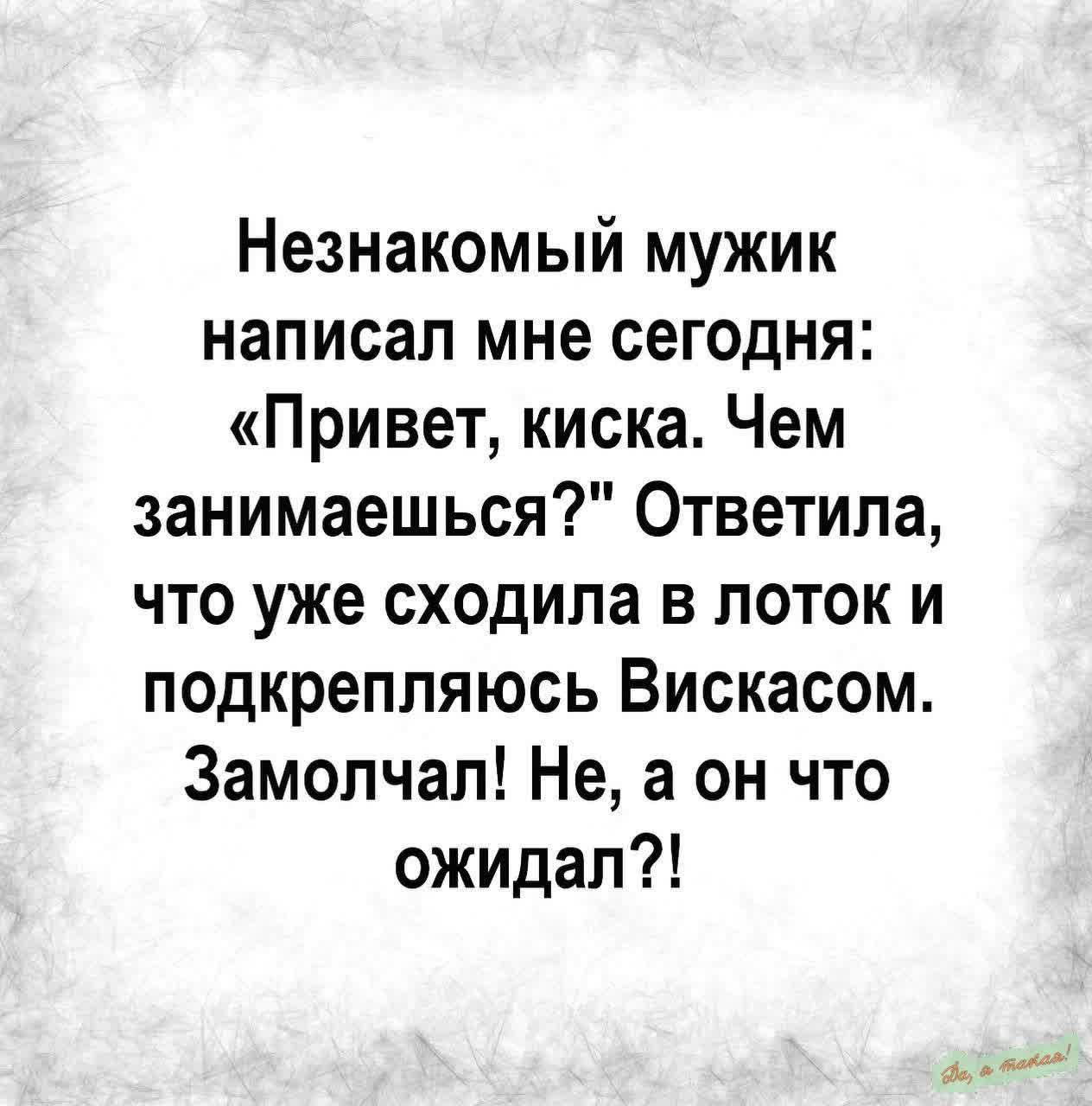 Незнакомый мужик написал мне сегодня Привет киска Чем занимаешься Ответила что уже сходила в лоток и подкрепляюсь Вискасом Замолчал Не а он что ожидал