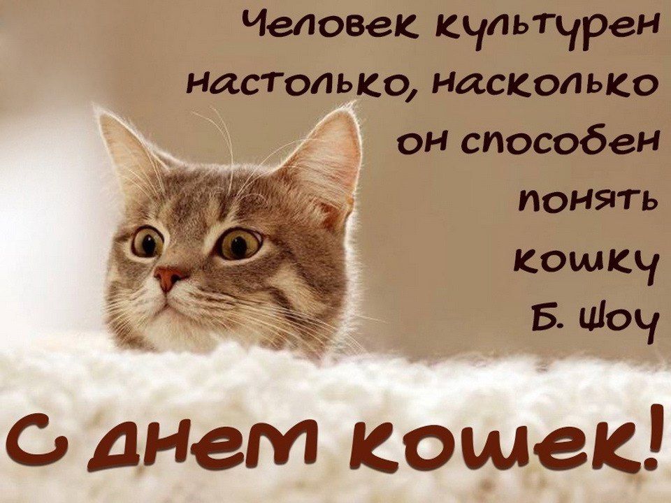 Человек культурен настолько насколько он способен понять комкч Б шоч днем кошмек