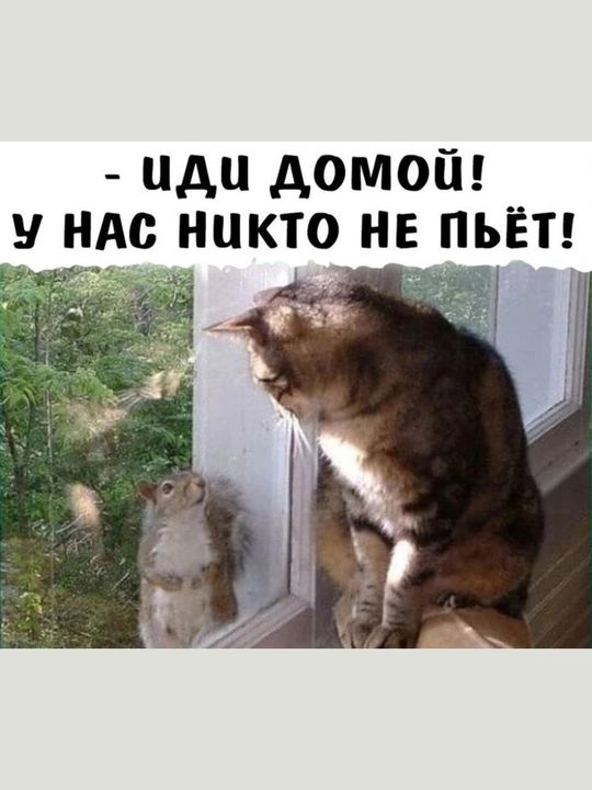 иди домой У НАС НиКТО НЕ ПЬЁТ