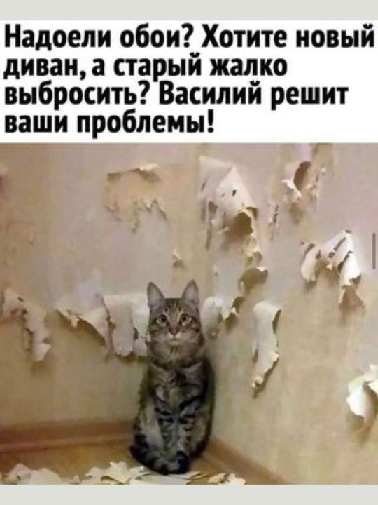 Надоели обои Хотите новый диван а старый жалко выбросить Василий решит ваши проблемы
