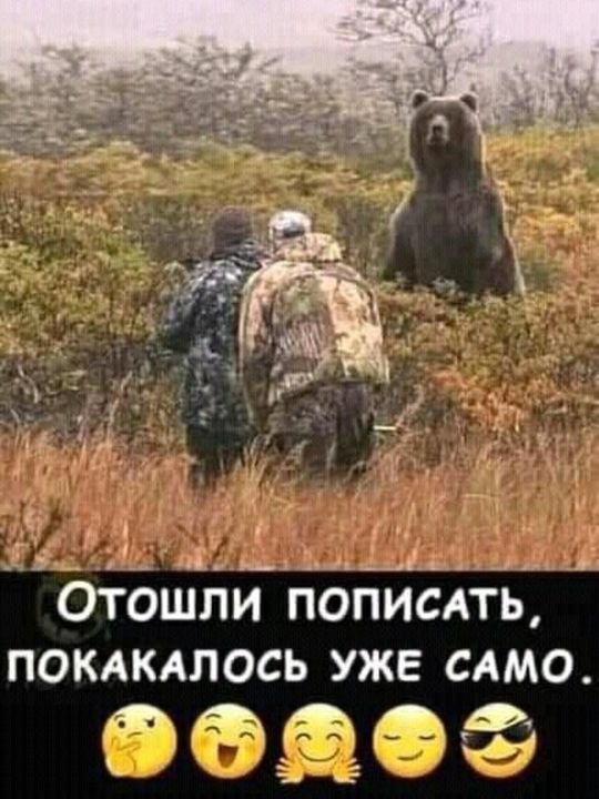 ООа ВЕ КО ЛНЙ Е Отошли ПОПИСАТЬ ПОКАКАЛОСЬ УЖЕ САМО