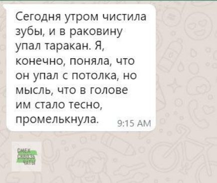 Сегодня утром чистила зубы и в раковину упал таракан Я конечно поняла что он упал с потолка но мысль что в голове им стало тесно промелькнула о15 АМ