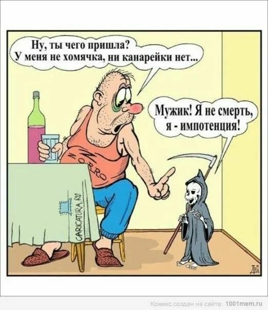 Ну ты чего пришла У меня не хомячка ни канарейки нет Мужик Я не смерть я импотенция Й