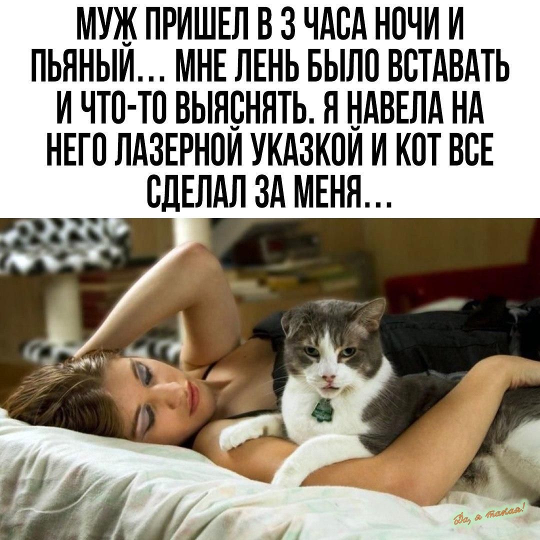 МУЖ ПРИШЕЛ В 3 ЧАСА НОЧИ И ПЬЯНЫЙ МНЕ ЛЕНЬ БЫЛО ВСТАВАТЬ И ЧТО ТО ВЫЯСНЯТЬ Я НАВЕЛА НА НЕГО ЛАЗЕРНОЙ УКАЗКОЙ И КОТ ВСЕ СДЕЛАЛ ЗА МЕНА
