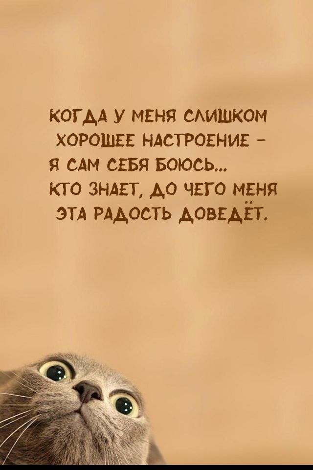 КОГДА У МЕНЯ СЛИШКОМ ХОРОШЕЕ НАСТРОЕНИЕ Я САМ СЕБЯ БОЮСЬ КТО ЗНАЕТ ДО ЧЕГО МЕНЯ ЭТА РАДОСТЬ ДОВЕДЕТ