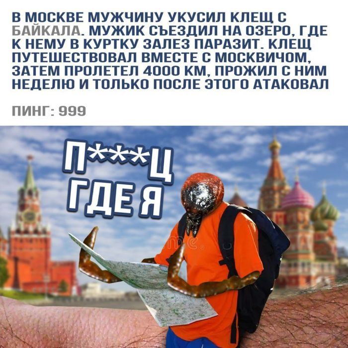 В МОСКВЕ МУЖЧИНУ УКУСИЛ КЛЕЩ С БАЙКАЛА МУЖИК СЪЕЗДИЛ НА ОЗЕРО ГДЕ К НЕМУ В КУРТКУ ЗАЛЕЗ ПАРАЗИТ КЛЕЩ ПУТЕШЕСТВОВАЛ ВМЕСТЕ С МОСКВИЧОМ ЗАТЕМ ПРОЛЕТЕЛ 4000 КМ ПРОЖИЛ С НИМ НЕДЕЛЮ И ТОЛЬКО ПОСЛЕ ЭТОГО АТАКОВАЛ ПИНГ 999