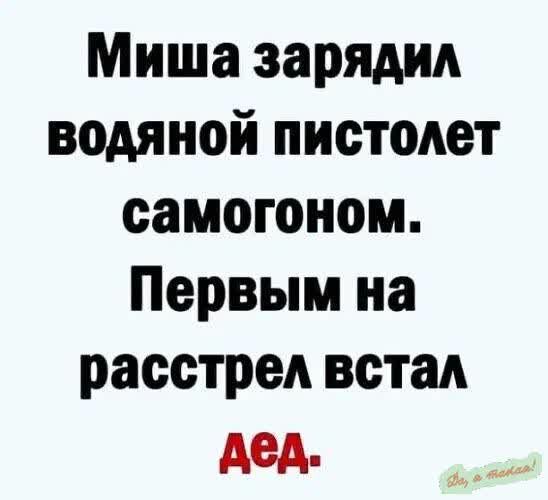 Миша зарядил водяной пистолет самогоном Первым на расстрел встал дед