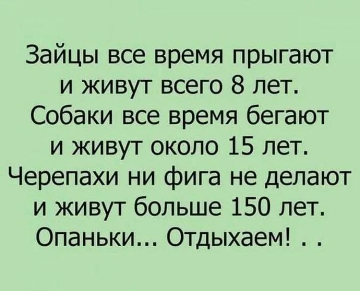 Зайцы все время прыгают и живут всего 8 лет Собаки все время бегают и живут около 15 лет Черепахи ни фига не делают и живут больше 150 лет Опаньки Отдыхаем