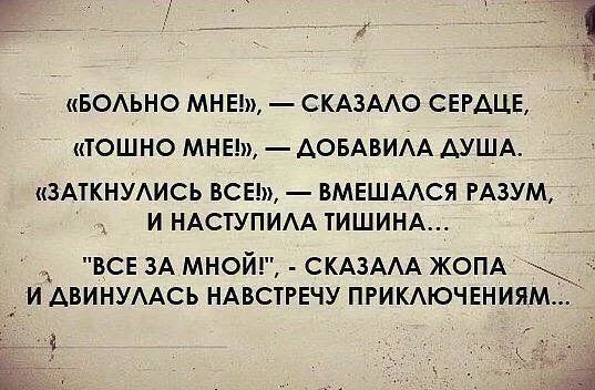 БОЛЬНО МНЕМ СКАЗАЛО СЕРДЦЕ ТОШНО МНЕЪ ДОБАВИЛА ДУША ЗАТКНУЛИСЬ ВСЕ ВМЕШАЛСЯ РАЗУМ И НАСТУПИЛА ТИШИНА ВСЕЗА МНОЙ СКАЗАЛА ЖОПА _ И АВИНУЛАСЬ НАВСТРЕЧУ ПРИКЛЮЧЕНИЯМ