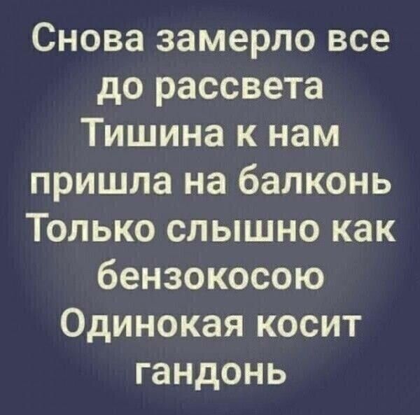 Снова замерло все до рассвета Тишина к нам пришла на балконь Только слышно как бензокосою Одинокая косит гандонь