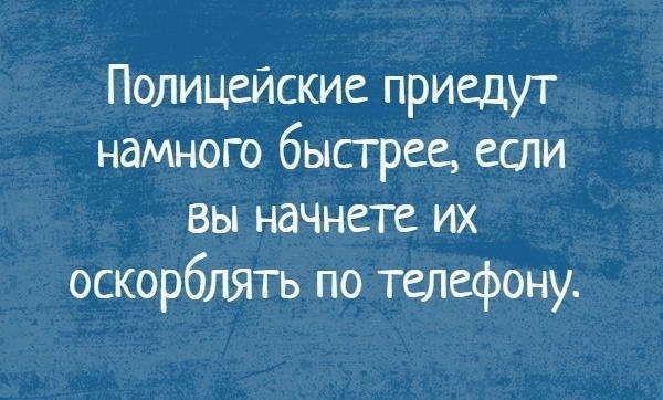 Полицейские приедут намного быстрее если вы начнете их оскорблять по телефону