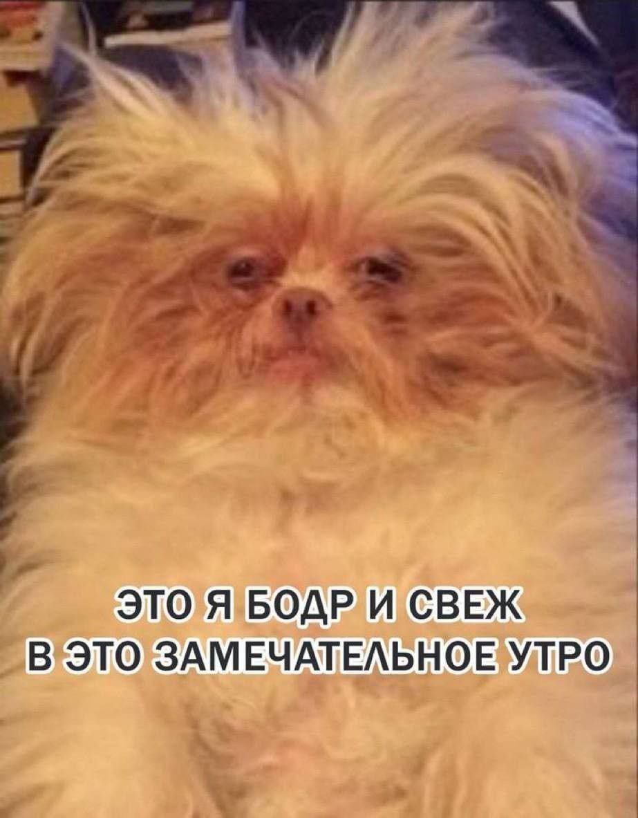 я ЭТО Я БОДРИ СВЕЖ 1 ВЭТО ЗАМЕЧАТЕЛЬНОЕУТРО