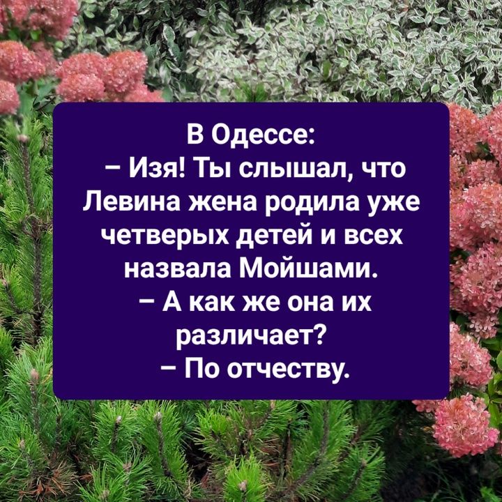 В Одессе Изя Ты слышал что Левина жена родила уже четверых детей и всех назвала Мойшами Акак же она их различает М По отчеству