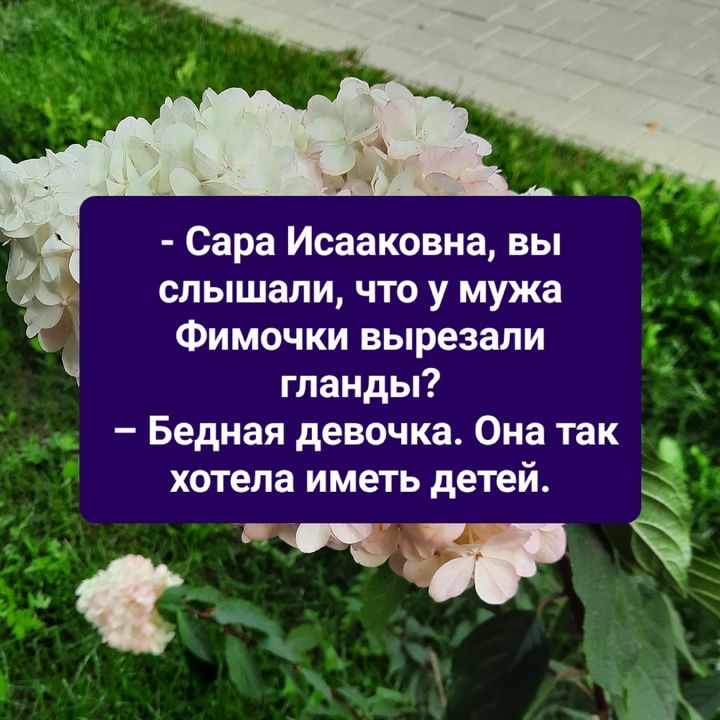 Сара Исааковна вы слышали что у мужа Фимочки вырезали гланды Бедная девочка Она так хотела иметь детей тФ