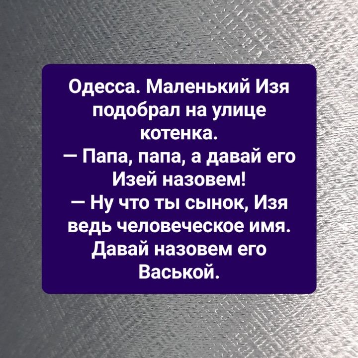 о Е Н Одесса Маленький Изя подобрал на улице котенка Папа папа а давай его Изей назовем Ну что ты сынок Изя ведь человеческое имя Давай назовем его Васькой