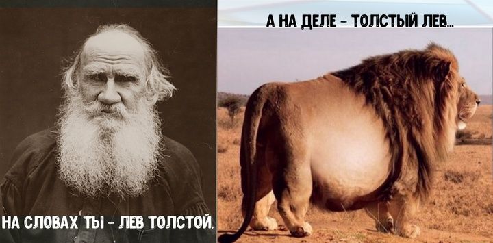 АНА ДЕЛЕ ТОЛСТЫЙ ЛЕВ