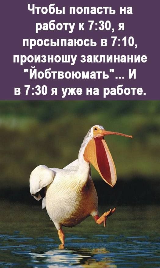 Чтобы попасть на работу к 730 я просыпаюсь в 710 произношу заклинание Йобтвоюмать И в 730 я уже на работе