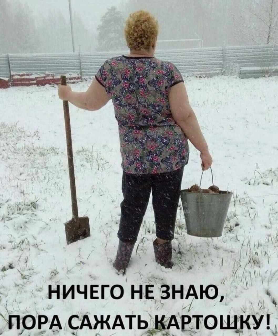 ничнго НЕЗНАЮ Е ПОРА САЖАТЬ жвтош_куі