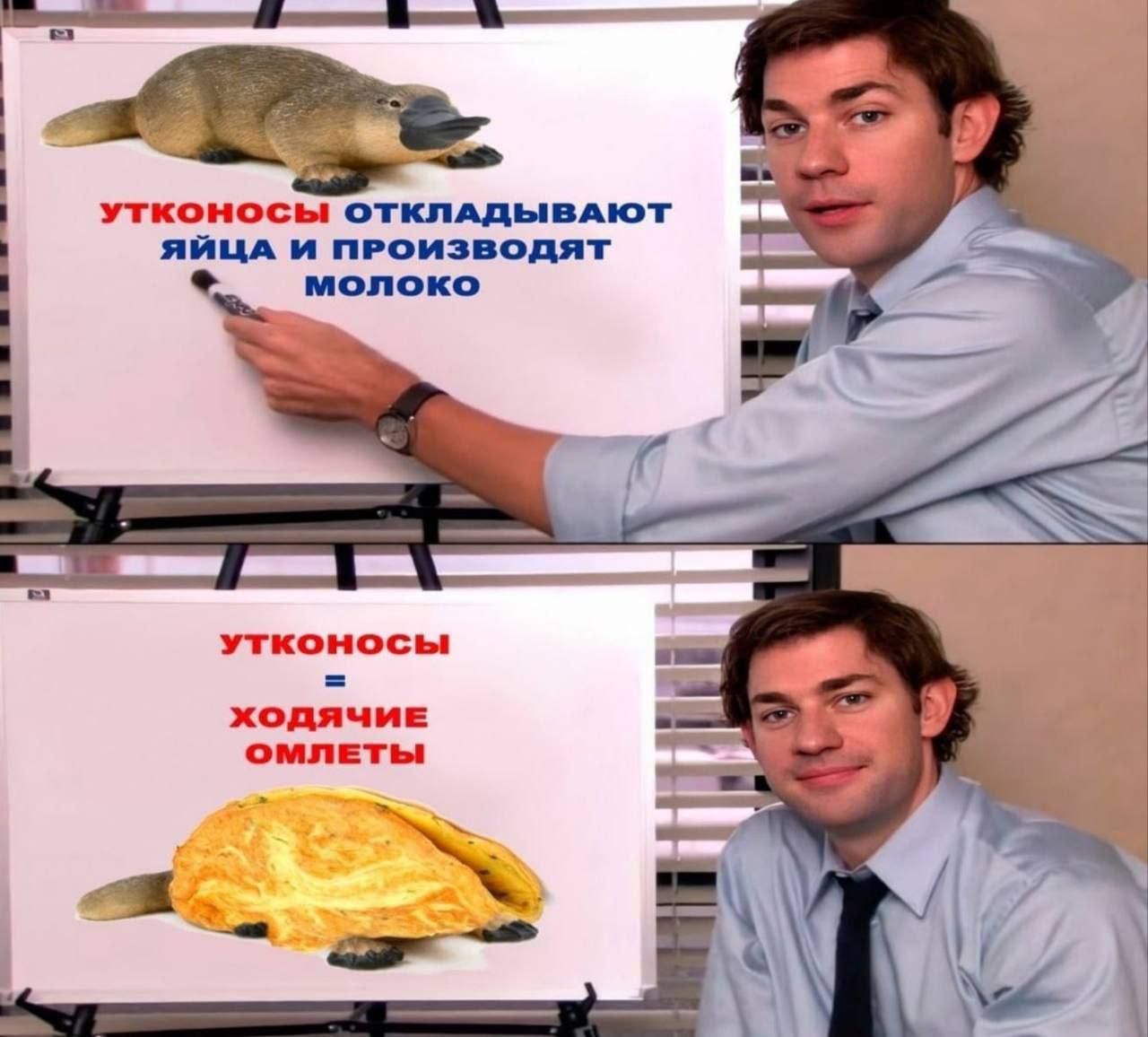 яйца и пРОИЗВОДЯТ а молоко