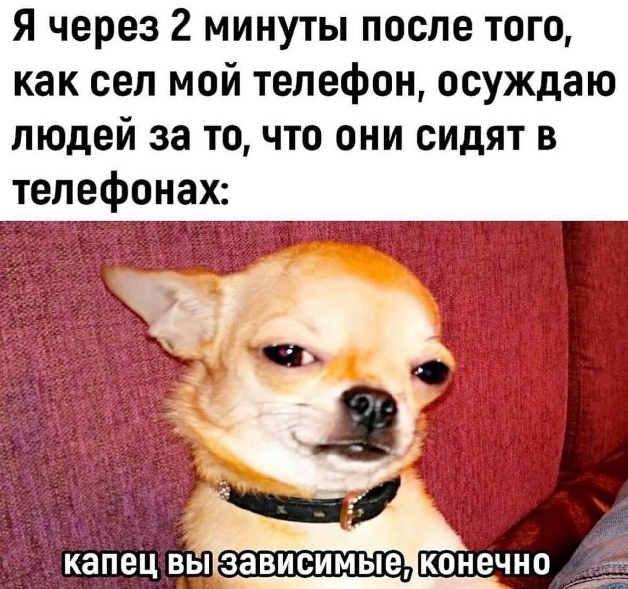 Я через 2 минуты после того как сел мой телефон осуждаю людей за то что они сидят в телефонах капец ВЫіЗЗВИСИМЫеКОНЭЧНО