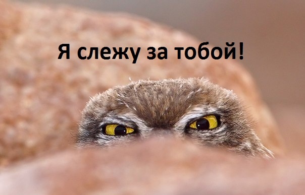 Я слежу за то