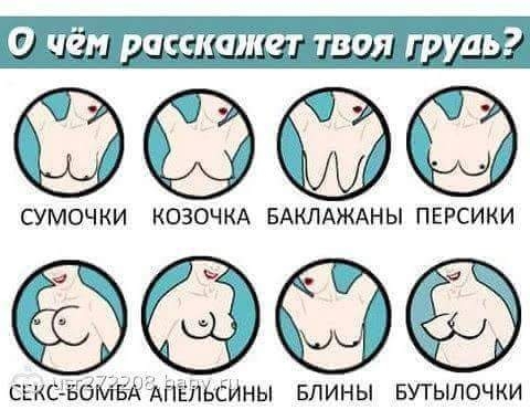 00 СУМОЧКИ КОЗОЧКА БАКЛАЖАНЫ ПЕРСИКИ СЕКСЁЁИЁБА сИны БЛИНЫ БУТЫЛОЧКИ