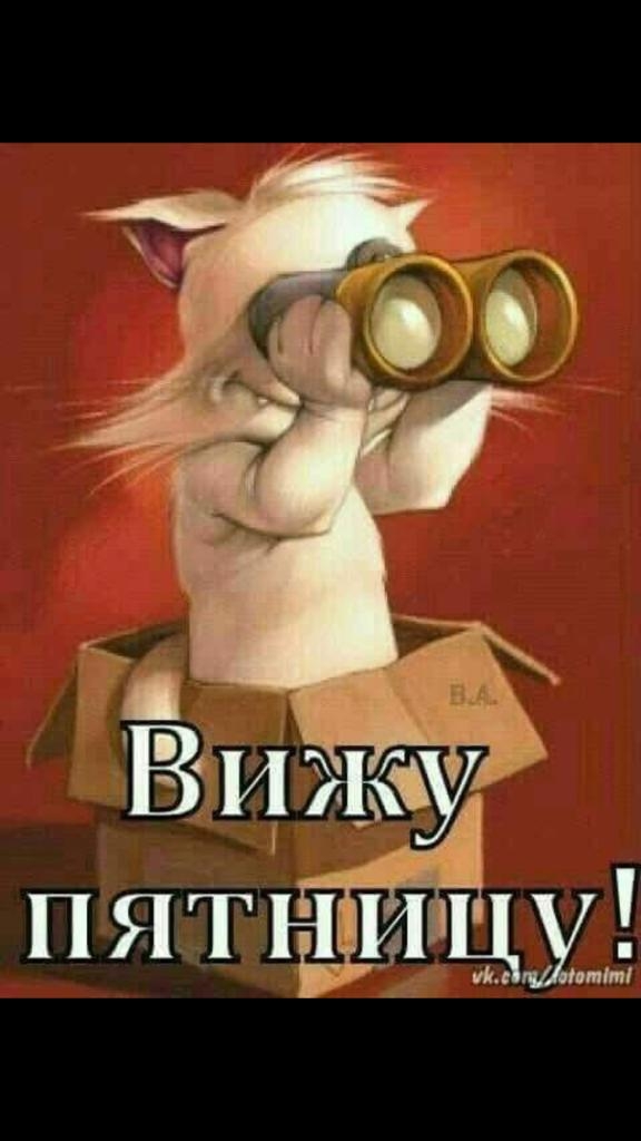 тім