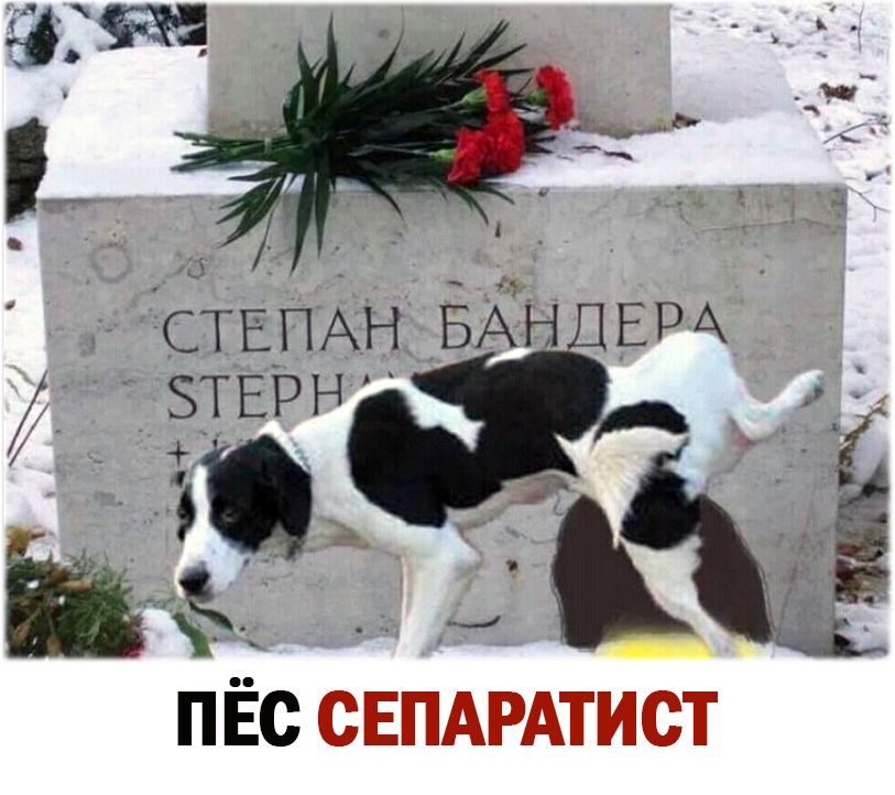 СТЕПАН БАН ЕРА ЗТЕРН Ы ПЁс СЕПАРАТИСТ