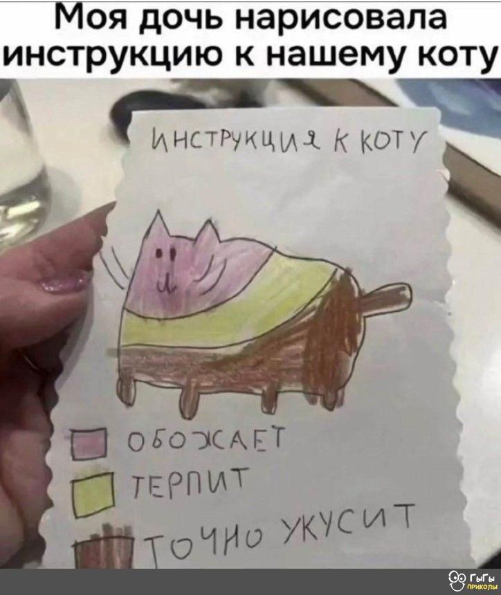 Моя дочь нарисовала инструкцию к нашему коту ь ИНсТРуКЦи 4 К КоТУ ВС оЬоЖАЕ О ТЕРПИТ точио УОСИТ