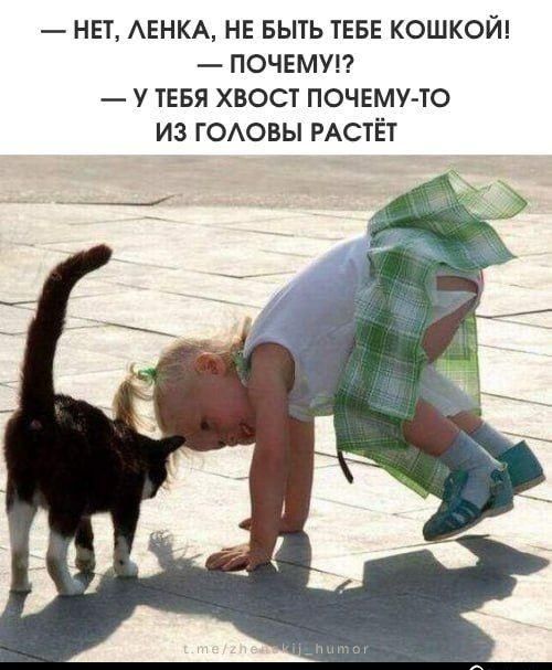 — НЕТ, ЛЕНКА, НЕ БЫТЬ ТЕБЕ КОШКОЙ!  — ПОЧЕМУ!?  — У ТЕБЯ ХВОСТ ПОЧЕМУ-ТО ИЗ ГОЛОВЫ РАСТЁТ