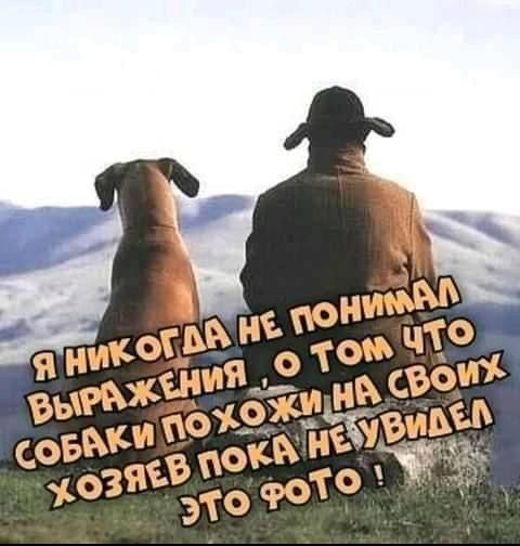 Я никогда не понимал выражения, о том что собаки похожи на своих хозяев пока не увидел это фото!