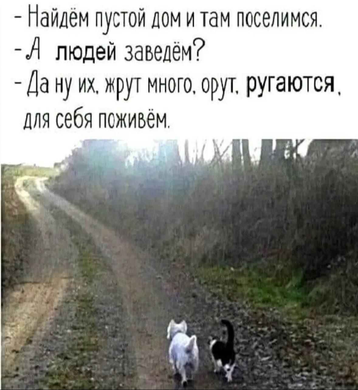 – Найдём пустой дом и там поселимся.
– А людей заведём?
– Да ну их, жрут много, орут, ругаются, для себя поживём.