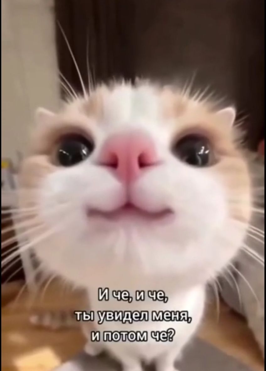 И че, и че, ты увидел меня, и потом че?