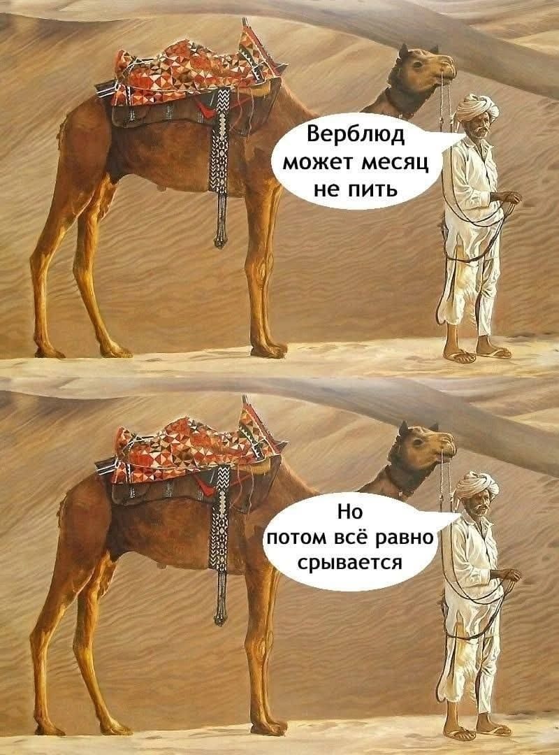 Верблюд может месяц не пить.
Но потом всё равно срывается.
