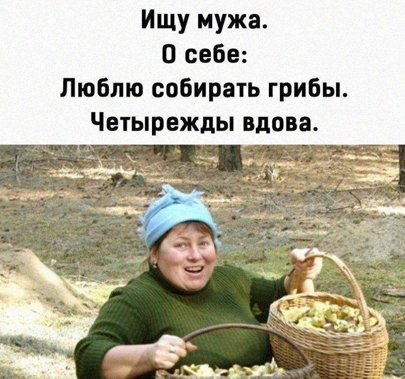 Ищу мужа. О себе: Люблю собирать грибы. Четырежды вдова.