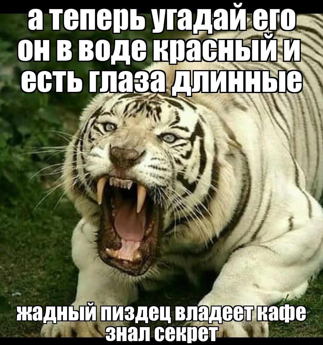 атеперь угадай6го АП ГаСТУ Т он вводе кпасный и