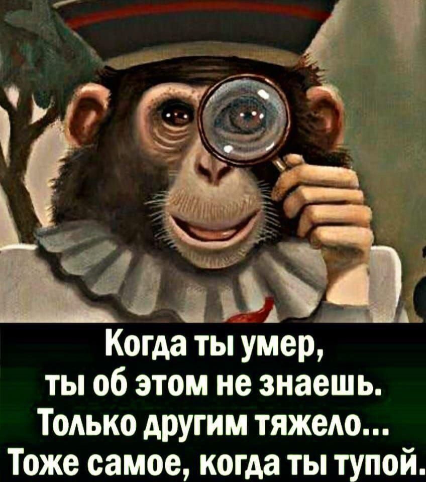 Когда ты умер ты об этом не знаешь Только другим тяжело Тоже самое когда ты тупой