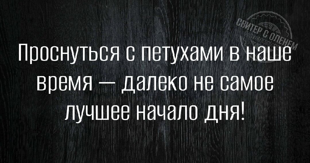 Проснуться с петухами в наше время далеко не самое лучшее начало дня