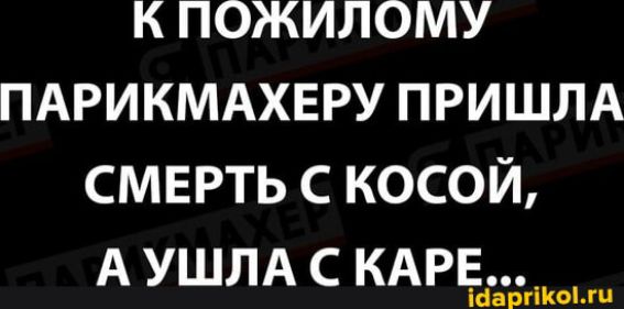 К ПОЖИЛОМУ ПАРИКМАХЕРУ ПРИШЛА СМЕРТЬ С КОСОЙ, А УШЛА С КАРЕ...