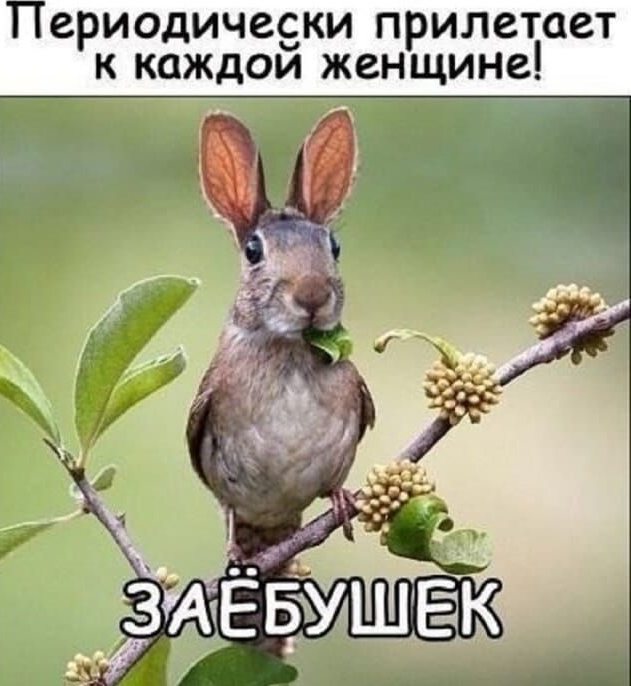 Периодически прилетает к каждой женщине! ЗАЁБУШЕК