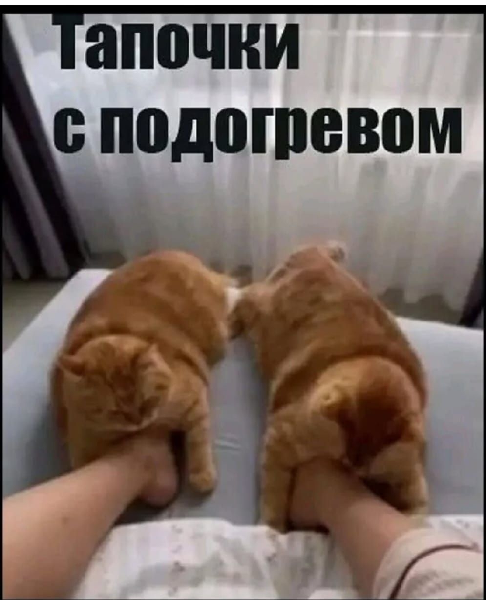 Тапочки с подогревом