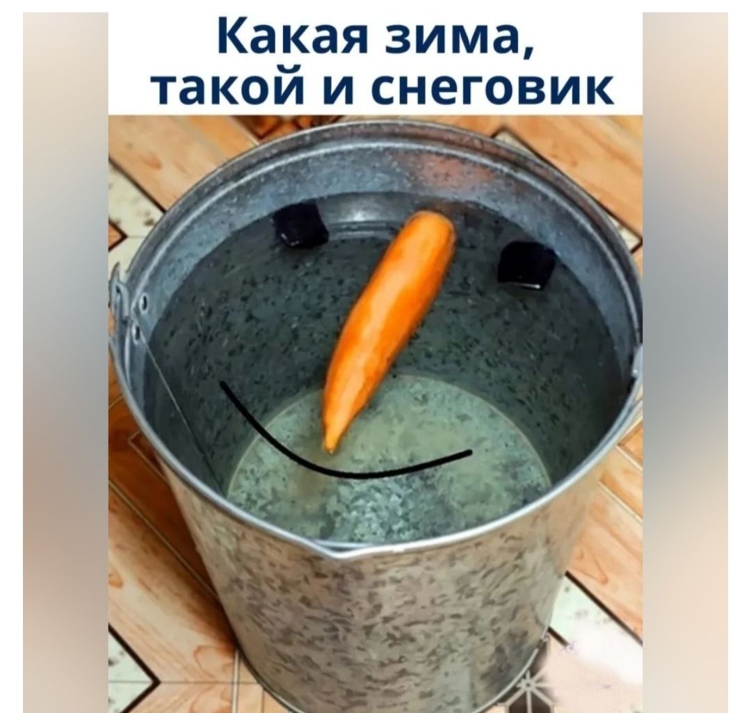 Какая зима такой и снеговик ам