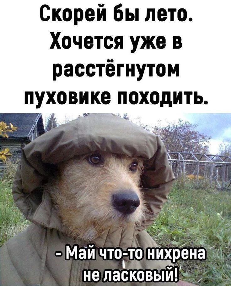 Скорей бы лето.
Хотится уже в расстёгнутом пуховике походить.
- Май что-то нихрена не ласковый!