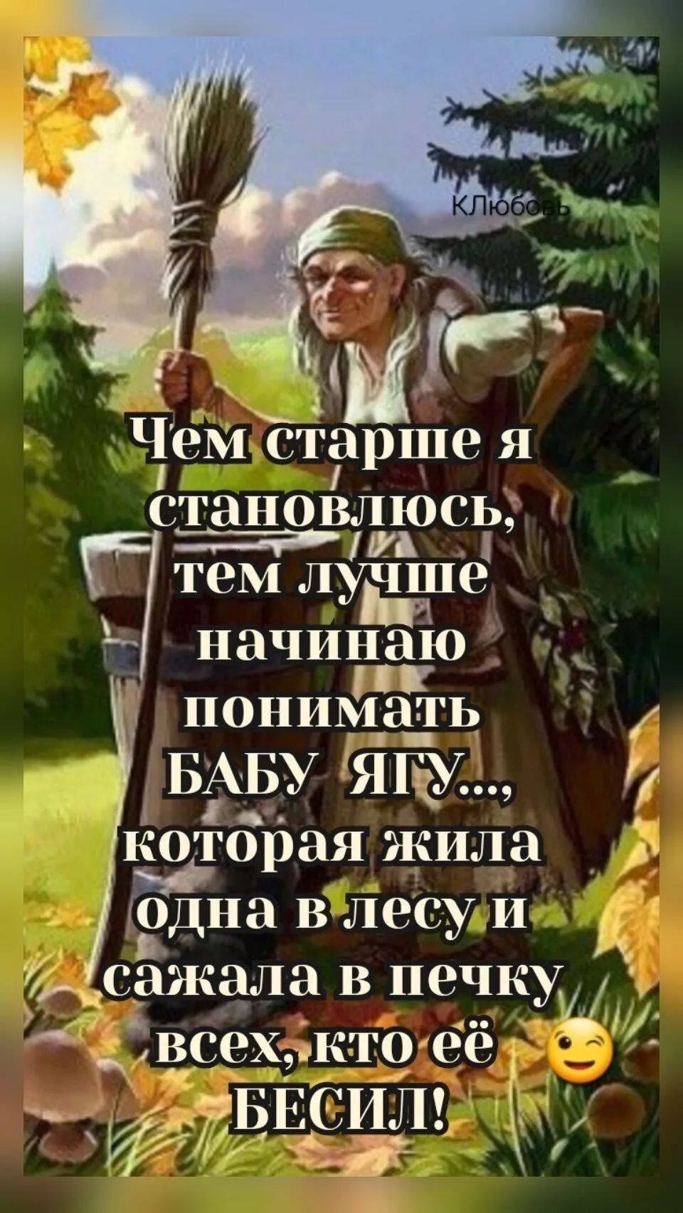 Чем старше я становлюсь, тем лучше начинаю понимать БАБУ ЯГУ..., которая жила одна в лесу и сажала в печку всех, кто её БЕСИЛ!
